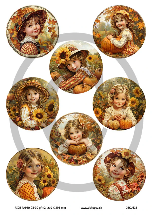 Ryžový papier na decoupage DEK335