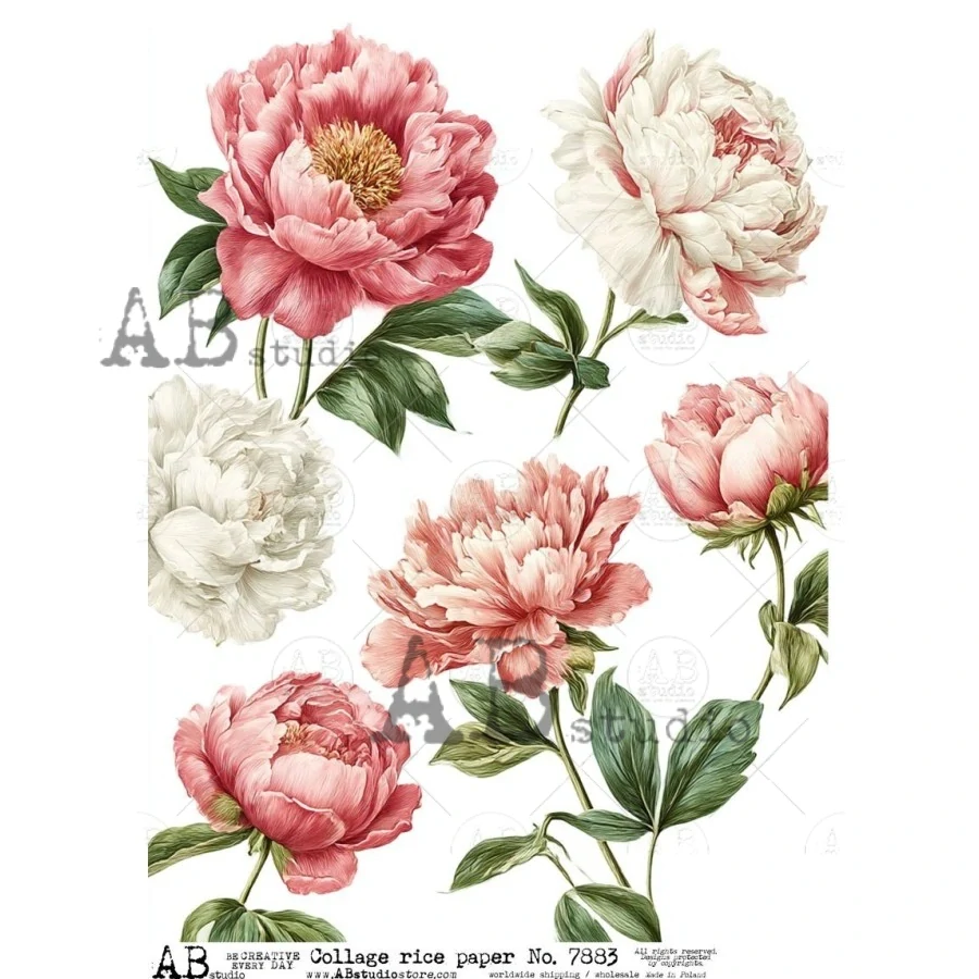 Ryžový papier na decoupage AB7883