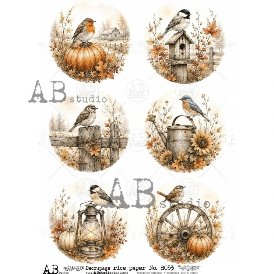 Ryžový papier na decoupage AB8053