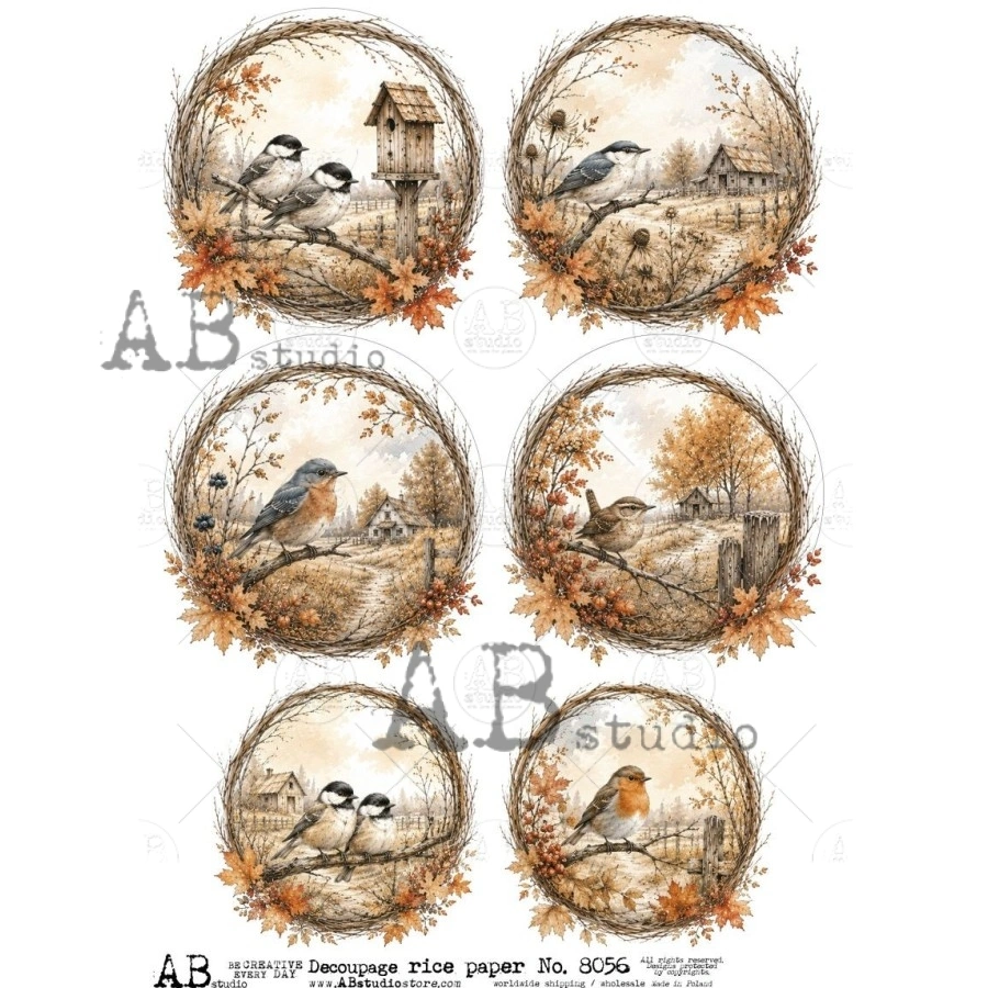 Ryžový papier na decoupage AB8056