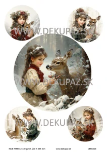  Ryžový papier na decoupage  DEK203