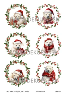  Ryžový papier na decoupage  DEK221
