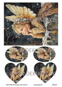  Ryžový papier na decoupage  DEK231
