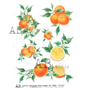 Ryžový papier na decoupage AB5262