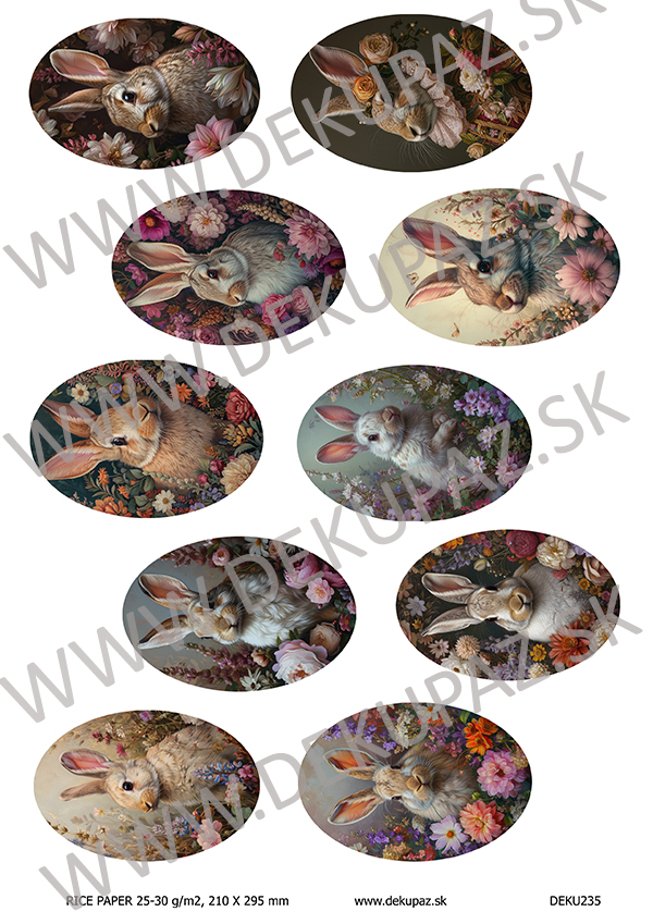  Ryžový papier na decoupage  DEK235