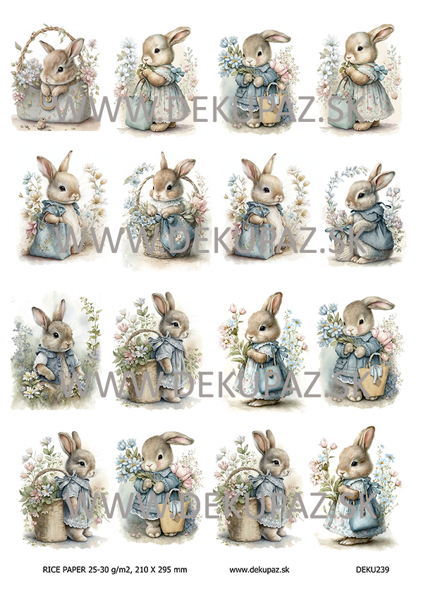  Ryžový papier na decoupage  DEK239