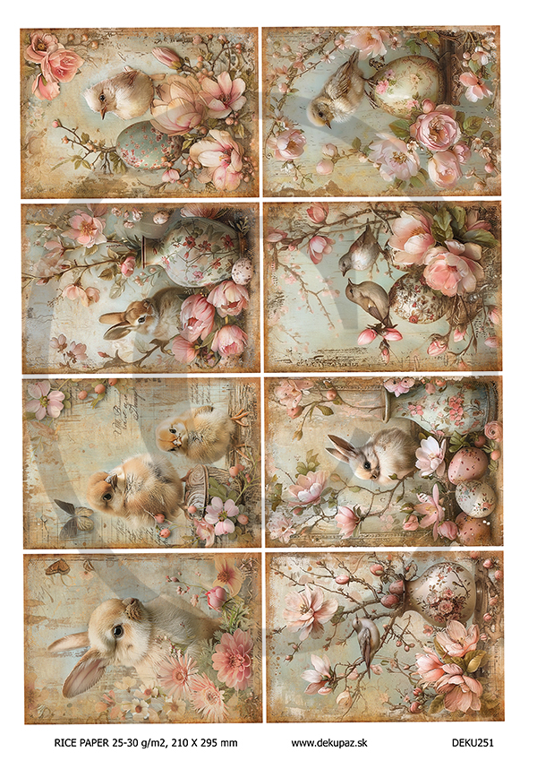  Ryžový papier na decoupage  DEK251