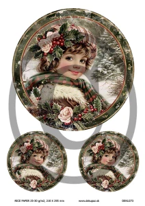  Ryžový papier na decoupage  DEK273