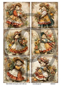  Ryžový papier na decoupage  DEK319