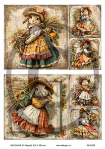  Ryžový papier na decoupage  DEK320