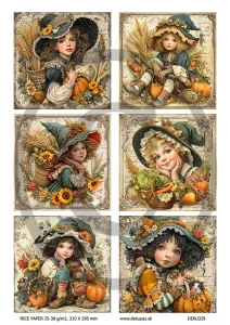  Ryžový papier na decoupage  DEK329
