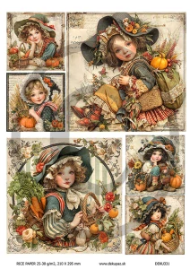  Ryžový papier na decoupage  DEK331