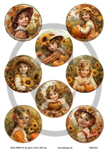  Ryžový papier na decoupage  DEK335