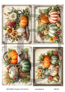  Ryžový papier na decoupage  DEK325