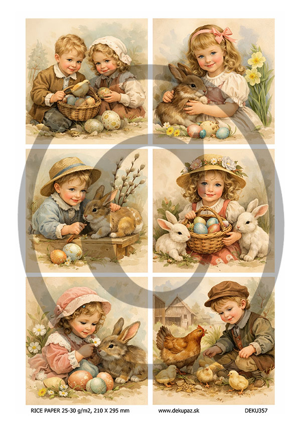  Ryžový papier na decoupage  DEK357