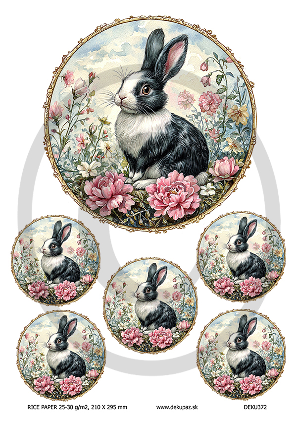  Ryžový papier na decoupage  DEK372