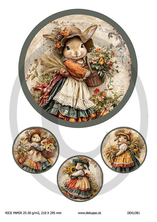 Ryžový papier na decoupage  DEK381