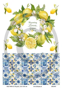  Ryžový papier na decoupage  DEK445