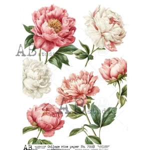 Ryžový papier na decoupage AB7883