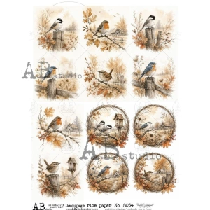 Ryžový papier na decoupage AB8054
