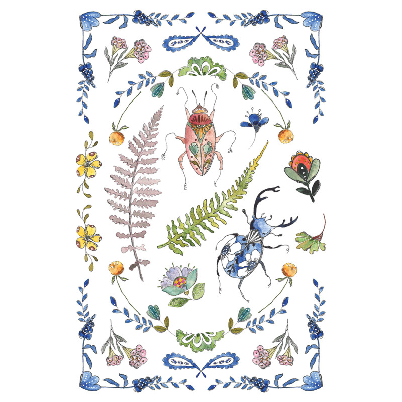 IOD transfer Fern Fables